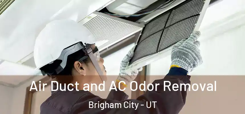  Air Duct and AC Odor Removal Brigham City - UT