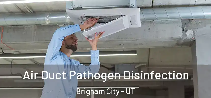  Air Duct Pathogen Disinfection Brigham City - UT