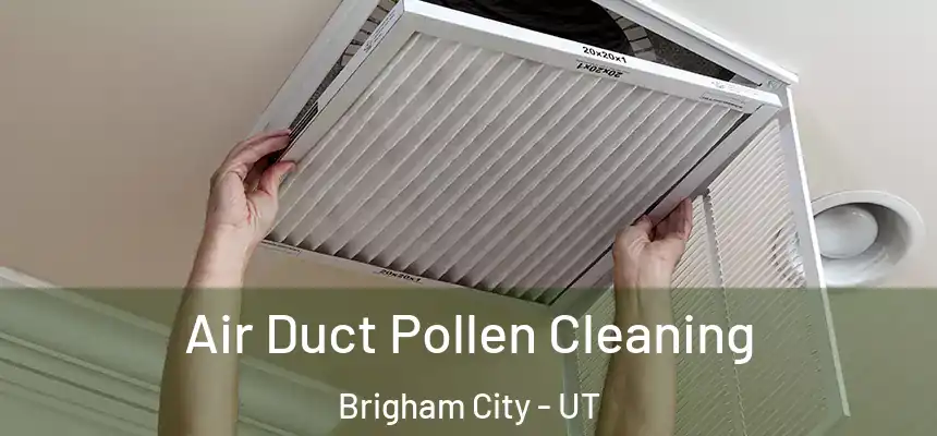  Air Duct Pollen Cleaning Brigham City - UT