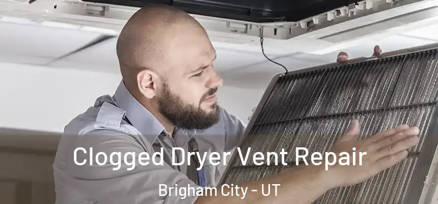  Clogged Dryer Vent Repair Brigham City - UT