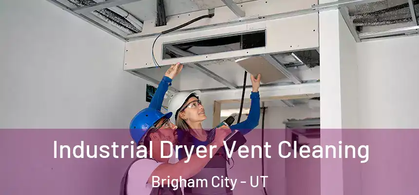  Industrial Dryer Vent Cleaning Brigham City - UT