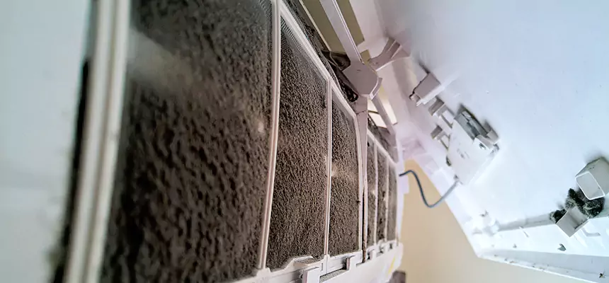 Preventive Air Duct Bacteria Removal in Brigham City