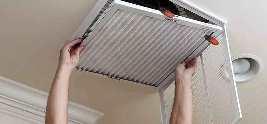 Preventive Cockroach-Proofing for Ducts in Brigham City