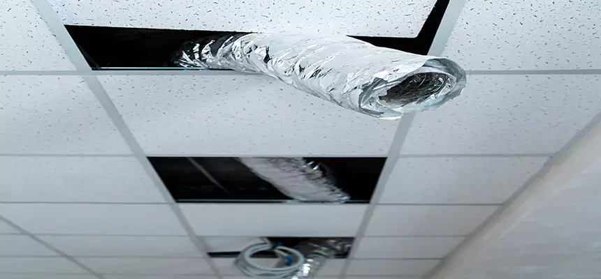 Our Air Duct Pet Hair Removal Services in Brigham City, UT