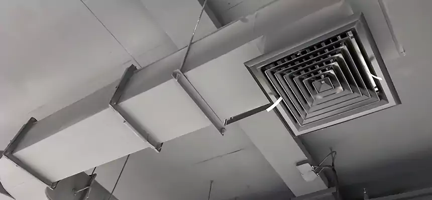 Restorative Allergy Relief Vent Cleaning – Coil, Blower & Housing Detail in Brigham City