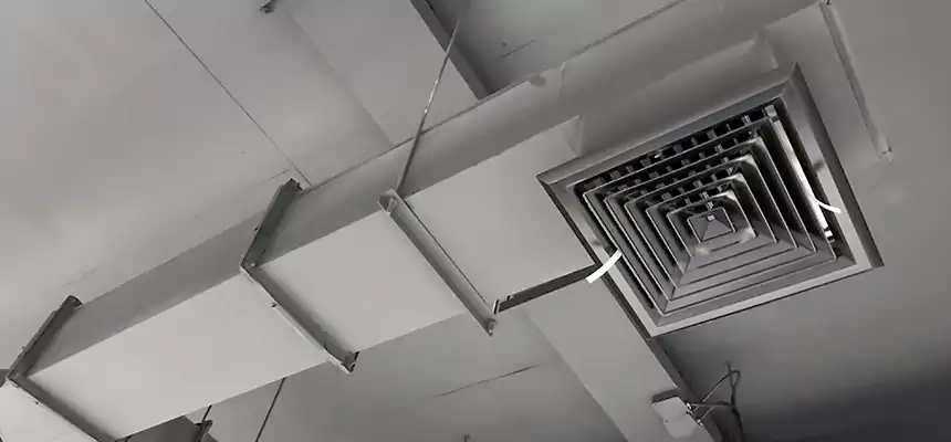 Our Rodent Droppings In Vents Services in Brigham City, UT