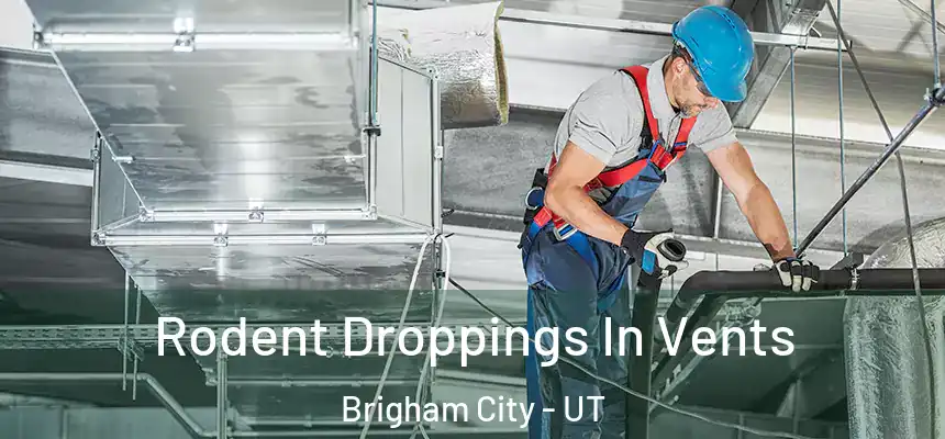  Rodent Droppings In Vents Brigham City - UT