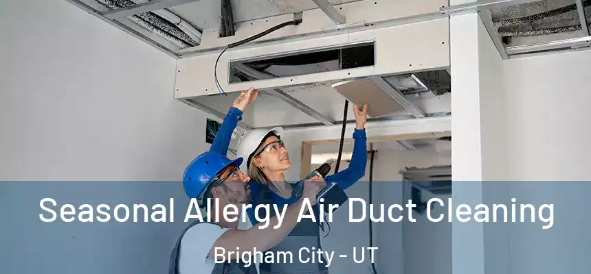  Seasonal Allergy Air Duct Cleaning Brigham City - UT