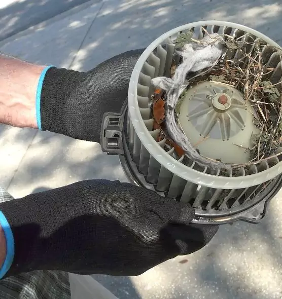 About Air Duct Rat Removal in Brigham City, UT