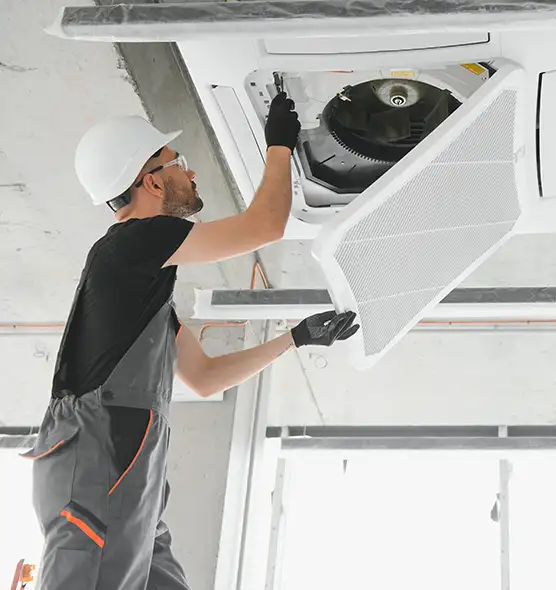 About Air Duct Rodent Removal in Brigham City, UT