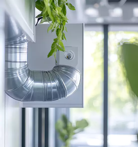 Professional Eco-Friendly Duct Cleaning Services in Brigham City, UT