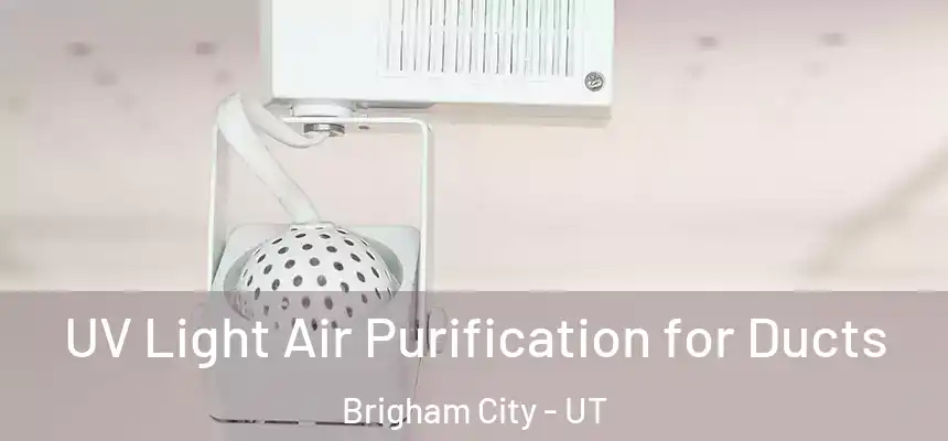  UV Light Air Purification for Ducts Brigham City - UT