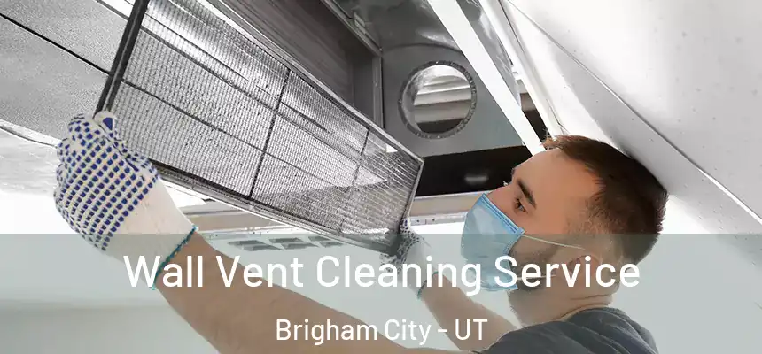  Wall Vent Cleaning Service Brigham City - UT